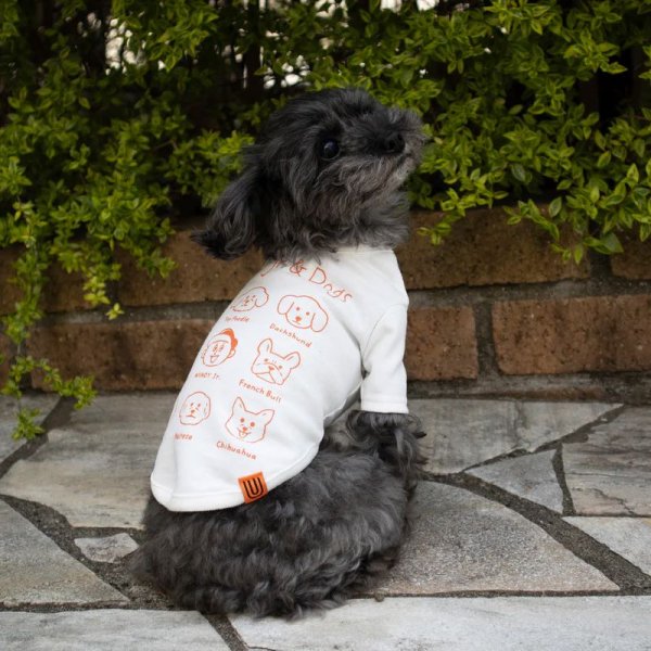 画像9:  【10％OFF】 【UNIVERSAL OVERALL】DOG T-SHIRT (9)