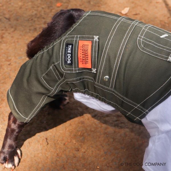 画像7:  【10％OFF】 【UNIVERSAL OVERALL】DOG オーバーオール (7)