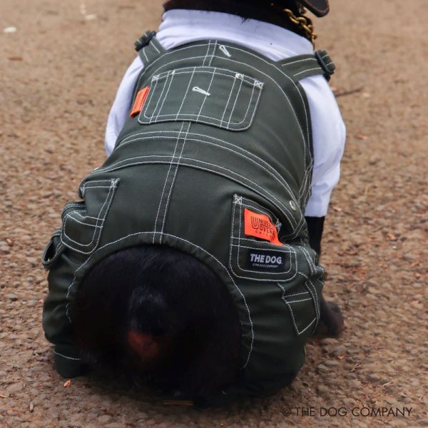 画像5:  【10％OFF】 【UNIVERSAL OVERALL】DOG オーバーオール (5)