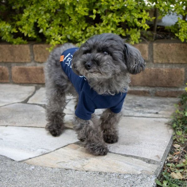 画像12:  【10％OFF】 【UNIVERSAL OVERALL】DOG T-SHIRT (12)