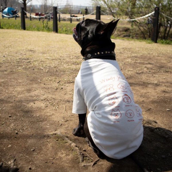 画像14:  【10％OFF】 【UNIVERSAL OVERALL】DOG T-SHIRT (14)