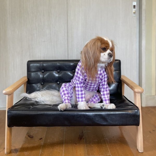 画像5:  10％OFF 【キャバスーツ LIMITED】ギンガムチェック：グレープ (5)