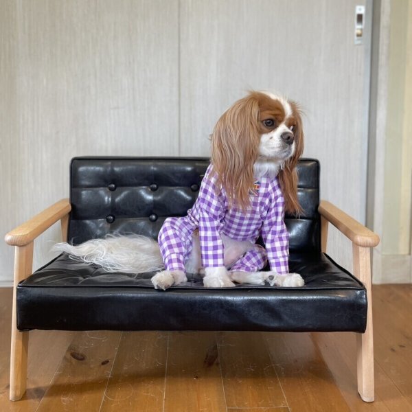 画像6:  10％OFF 【キャバスーツ LIMITED】ギンガムチェック：グレープ (6)