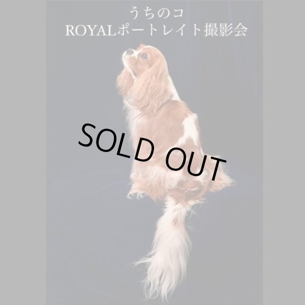 画像1: 【 Ｍ様専用 】うちのコROYALポートレイト撮影会（追加分） (1)