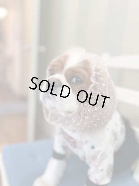 画像5: INU-CLOSET☆ちっちゃいハートのレーススヌード (5)