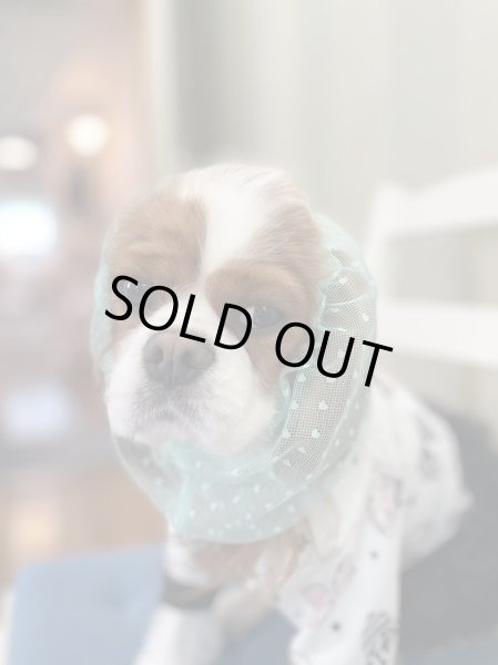 画像4: INU-CLOSET☆ちっちゃいハートのレーススヌード (4)