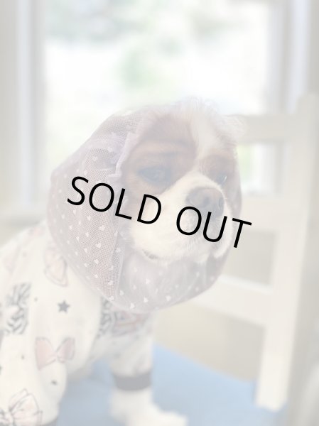 画像6: INU-CLOSET☆ちっちゃいハートのレーススヌード (6)