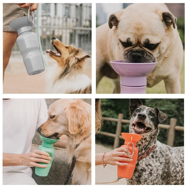 画像3:  【新色追加】 PET AUTO MUG 650ml (3)