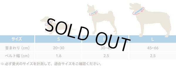 画像16: 【首輪】WOLF GANG /Bone Yard COLLAR (16)