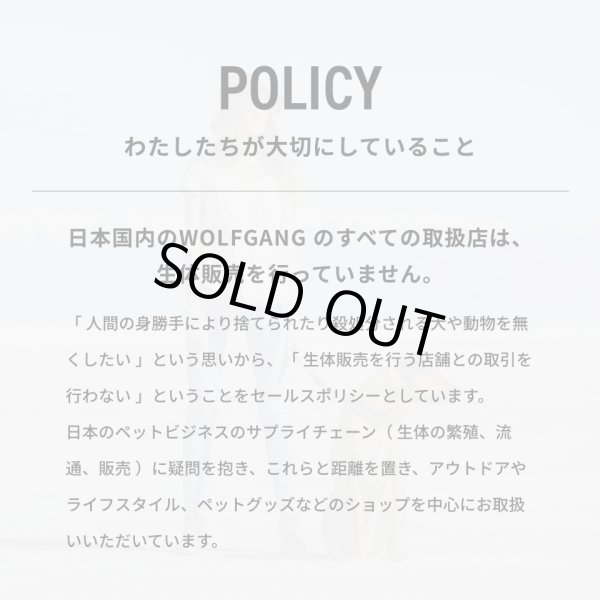 画像16: 【首輪】WOLF GANG /DawnPatrol COLLAR (16)