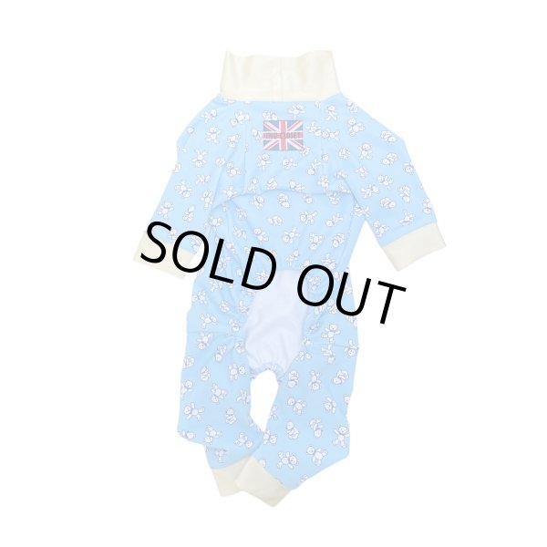 画像2: 30%OFF【キャバスーツ　LIMITED】KUMA CLASSIC (2)