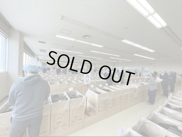 画像8: 梅しそ【のりもも】のりふりふり (8)