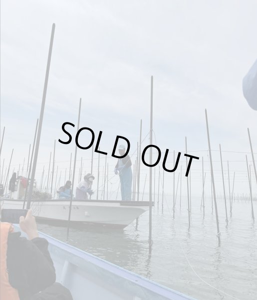 画像9: 梅しそ【のりもも】のりふりふり (9)