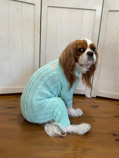 画像14:  20％OFF 【Cavasuits KNIT 2024】 The Cable -PASTEL- (14)