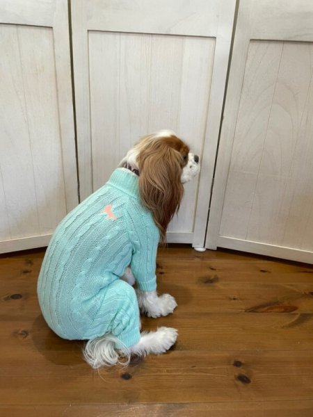 画像15:  20％OFF 【Cavasuits KNIT 2024】 The Cable -PASTEL- (15)