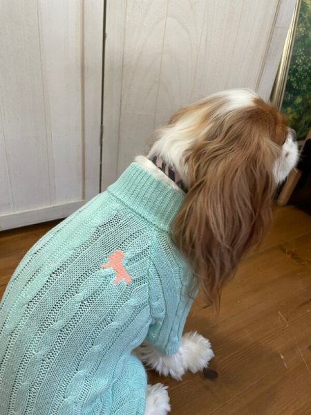 画像16:  20％OFF 【Cavasuits KNIT 2024】 The Cable -PASTEL- (16)