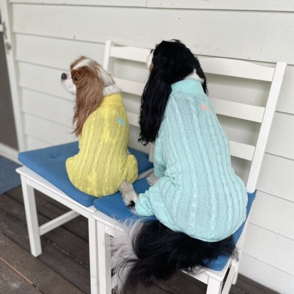 画像7:  20％OFF 【Cavasuits KNIT 2024】 The Cable -PASTEL- (7)