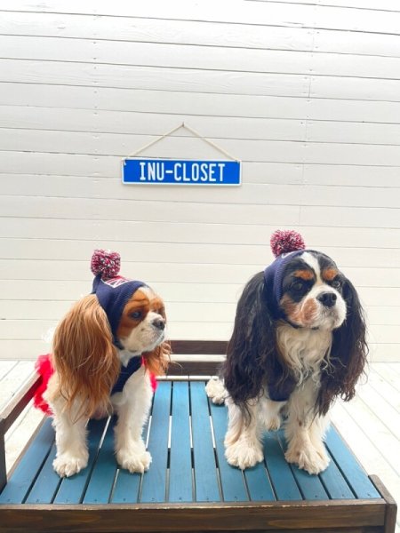 画像22: フラッグニット帽（イギリス） (22)