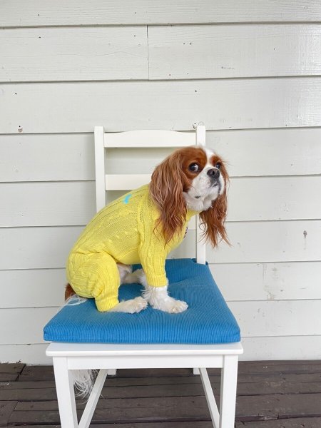 画像18:  20％OFF 【Cavasuits KNIT 2024】 The Cable -PASTEL- (18)