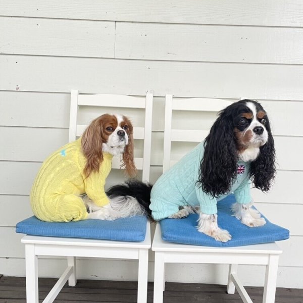 画像9:  20％OFF 【Cavasuits KNIT 2024】 The Cable -PASTEL- (9)