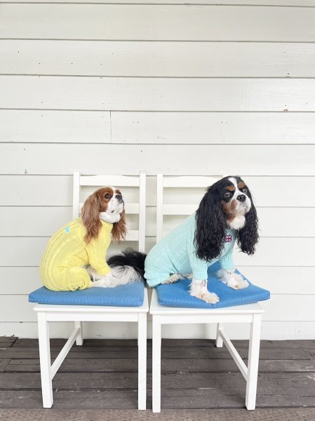 画像5:  20％OFF 【Cavasuits KNIT 2024】 The Cable -PASTEL- (5)