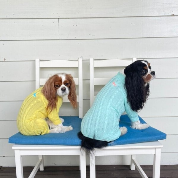 画像8:  20％OFF 【Cavasuits KNIT 2024】 The Cable -PASTEL- (8)