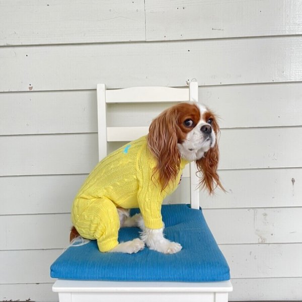 画像17:  20％OFF 【Cavasuits KNIT 2024】 The Cable -PASTEL- (17)