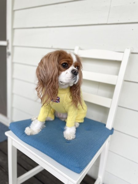 画像20:  20％OFF 【Cavasuits KNIT 2024】 The Cable -PASTEL- (20)