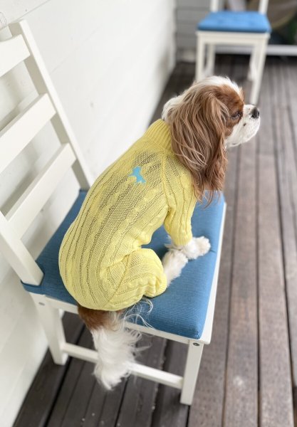 画像19:  20％OFF 【Cavasuits KNIT 2024】 The Cable -PASTEL- (19)