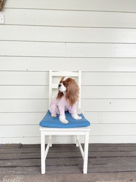 画像11:  20％OFF 【Cavasuits KNIT 2024】 The Cable -PASTEL- (11)