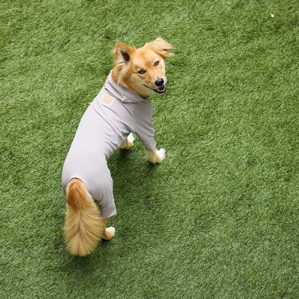 画像27: WATER REPELLENT SKIN TIGHT SUIT ウォーターリぺレントスキンタイトスーツ (27)