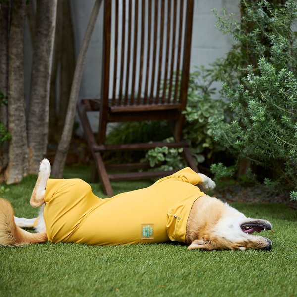 画像26: WATER REPELLENT SKIN TIGHT SUIT ウォーターリぺレントスキンタイトスーツ (26)