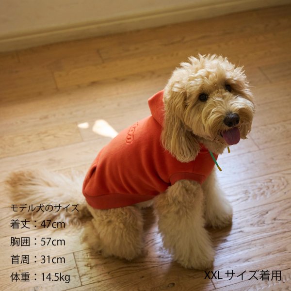 画像25: MANDRN HOODIE マンダリンフーディー (25)