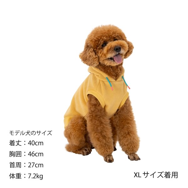 画像23: MANDRN HOODIE マンダリンフーディー (23)