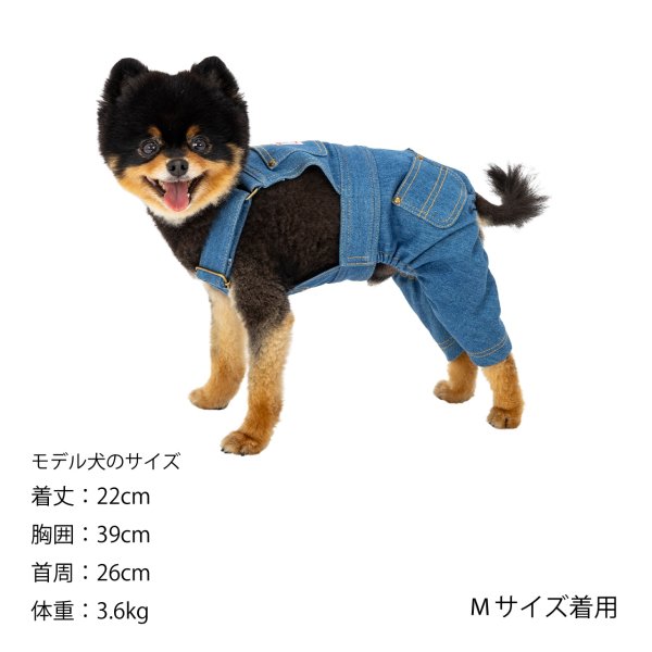 画像23: Overall オーバーオール (23)
