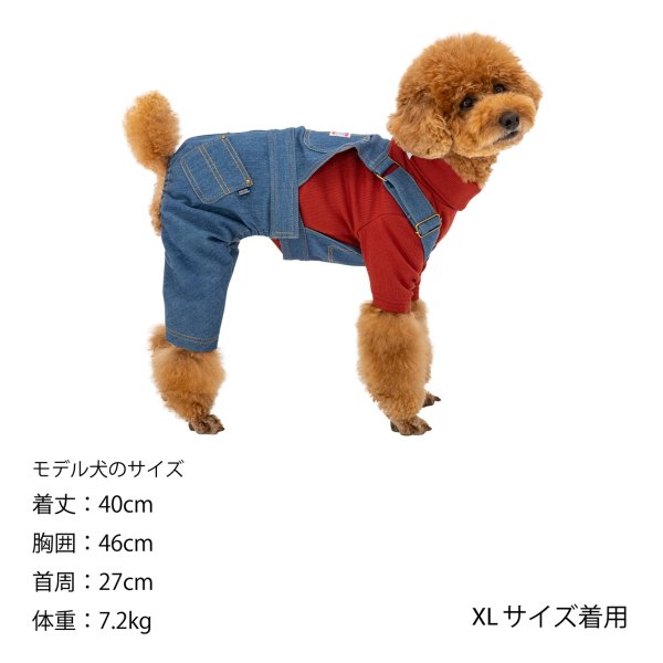 画像25: Overall オーバーオール (25)