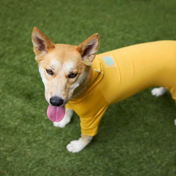 画像24: WATER REPELLENT SKIN TIGHT SUIT ウォーターリぺレントスキンタイトスーツ (24)