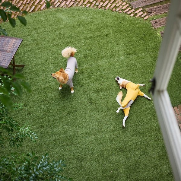 画像25: WATER REPELLENT SKIN TIGHT SUIT ウォーターリぺレントスキンタイトスーツ (25)