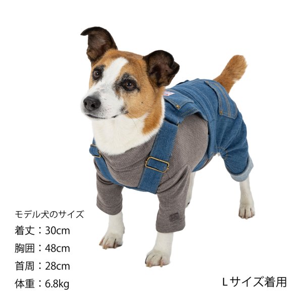 画像24: Overall オーバーオール (24)
