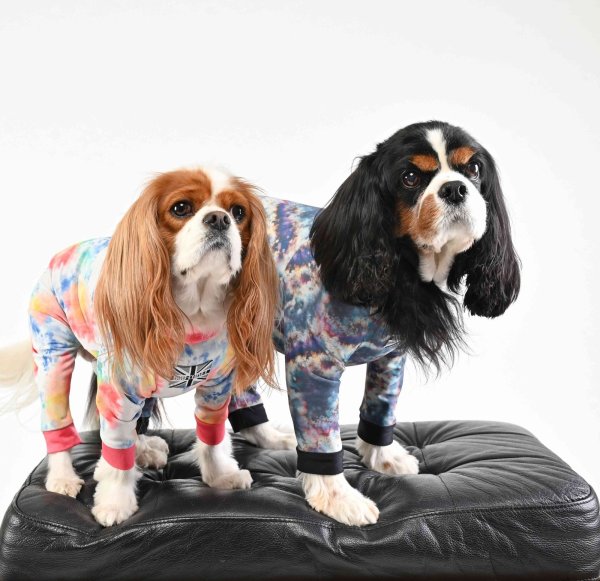 画像5:  10％OFF 【キャバスーツ SPANGLE】Mercury（マーキュリー） (5)