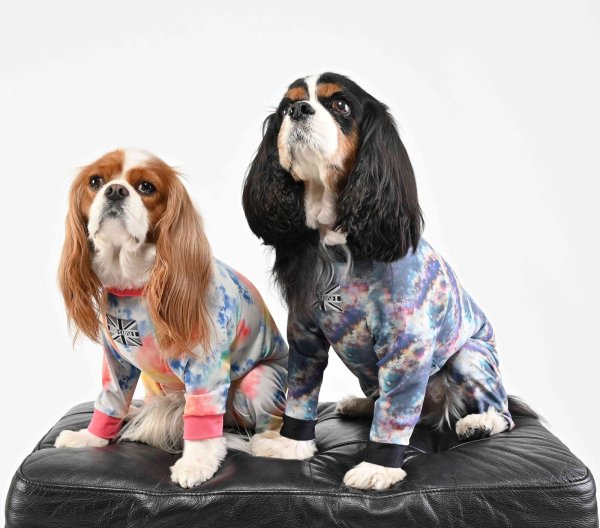 画像4:  10％OFF 【キャバスーツ SPANGLE】Jupiter（ジュピター） (4)