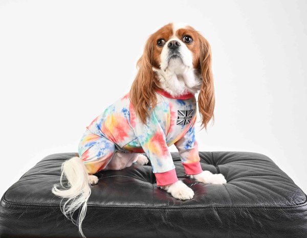 画像2:  10％OFF 【キャバスーツ SPANGLE】Jupiter（ジュピター） (2)