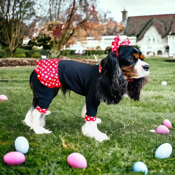 画像2: キャバスーツ☆リボンカチューシャ：Minnie 60s (2)