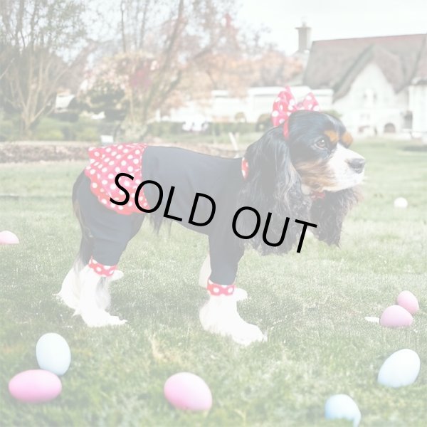 画像2: キャバスーツ☆リボンカチューシャ：Minnie 60s (2)