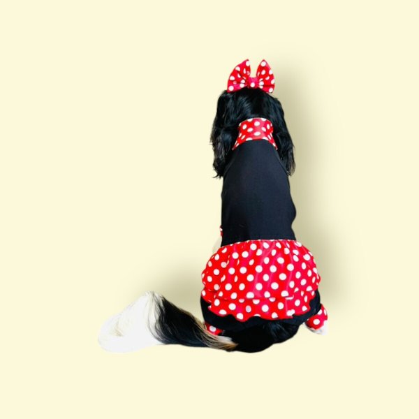 画像4: キャバスーツ☆リボンカチューシャ：Minnie 60s (4)