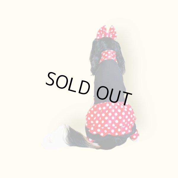 画像4: キャバスーツ☆リボンカチューシャ：Minnie 60s (4)