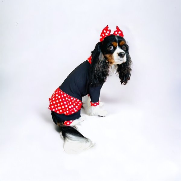 画像3: キャバスーツ☆リボンカチューシャ：Minnie 60s (3)