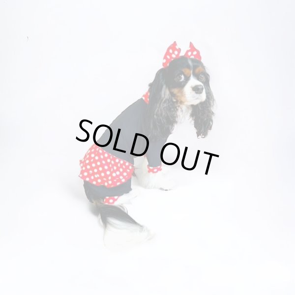 画像3: キャバスーツ☆リボンカチューシャ：Minnie 60s (3)