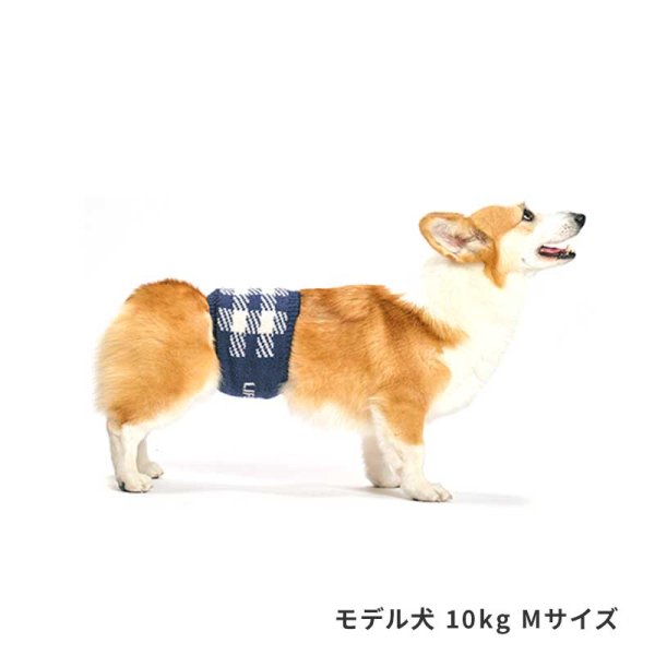 画像7: LIFELIKE ブロックチェックはらまき (7)