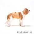 画像4: LIFELIKE 恐竜はらまき (4)